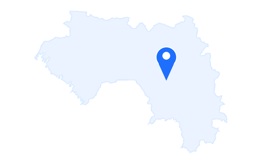 Guinea